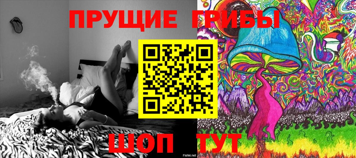 Зеленокумск  Галлюциногенные грибы Psilocybe  Вход с VPN 